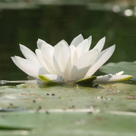 Holiday home Nahe Vom Weissen *